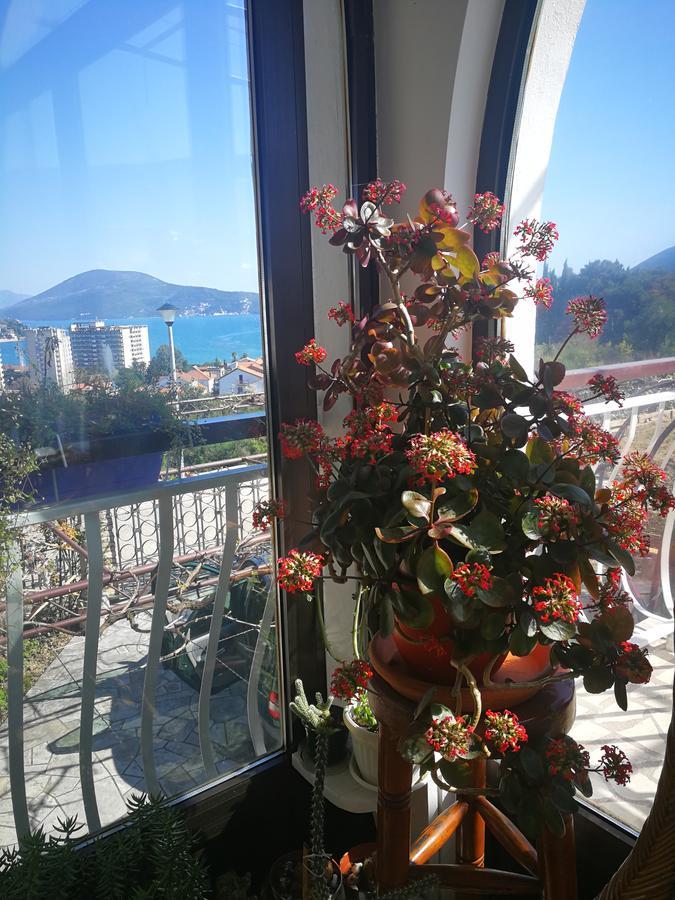 Apartments La Dolce Vita Herceg Novi Zewnętrze zdjęcie